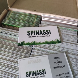 Spinasi - Gramas e plantas