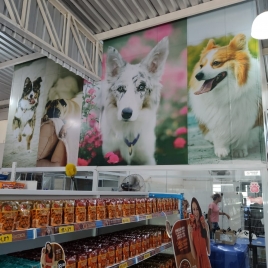 Pet Shop Jarinu - Banho e tosa Garcia Impressos Jarinu Impressão Digital